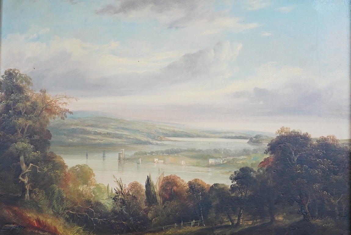 19th century English school, oil on canvas, river landscape, 32x44cm. Condition - good